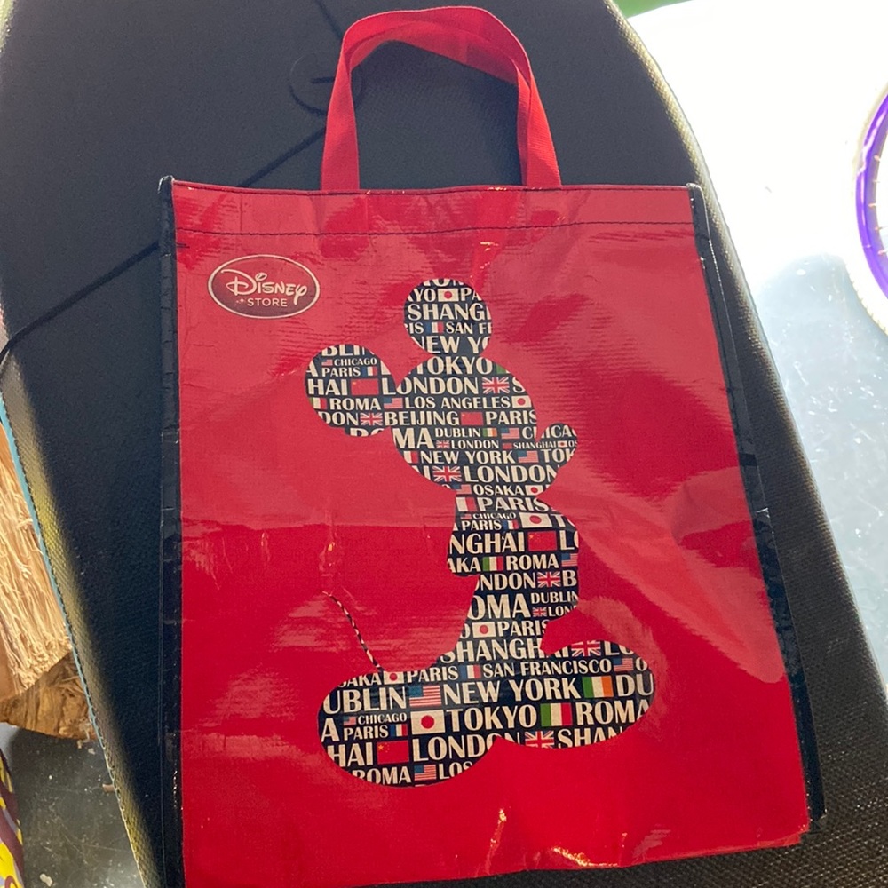 3 for $13 - The Disney Store around the World bag